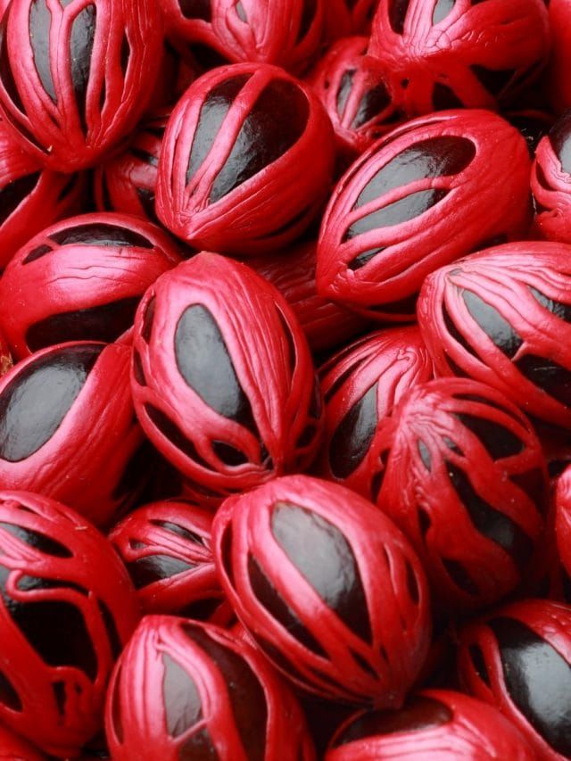 Whole Nutmeg with Mace