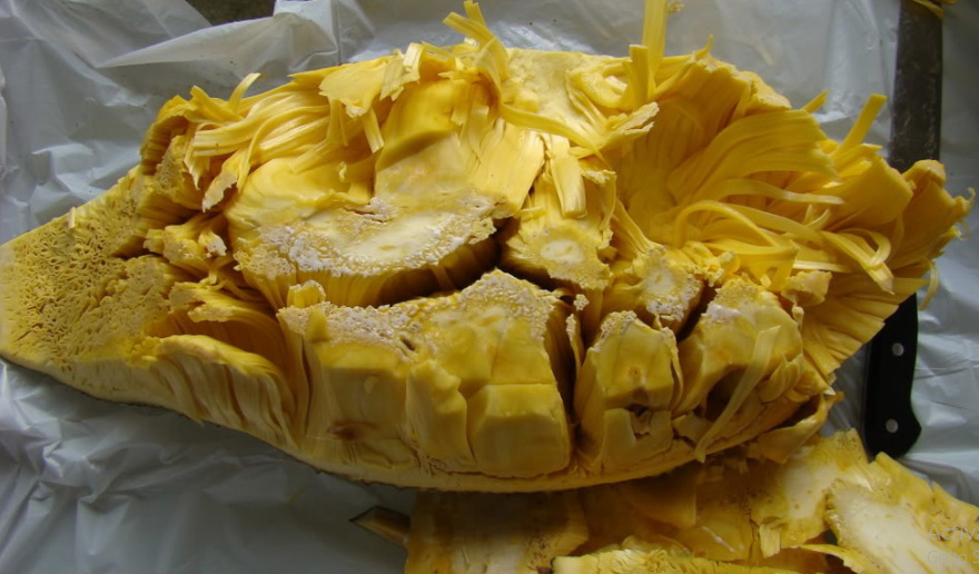 Lemon-Jackfruit.jpg