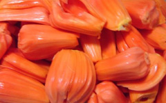 RedJackfruit1.jpg