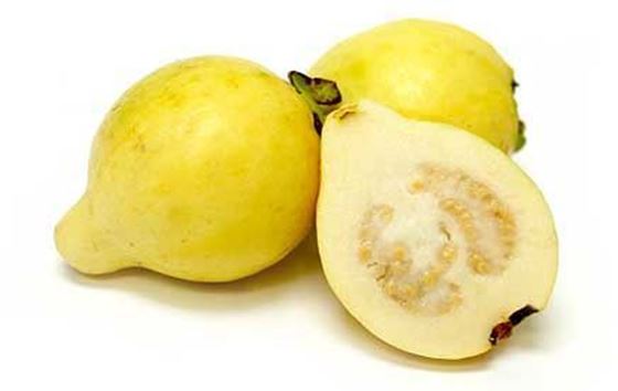 egyption_guava.jpeg