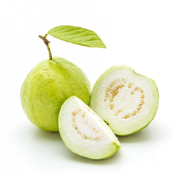 guava.jpg