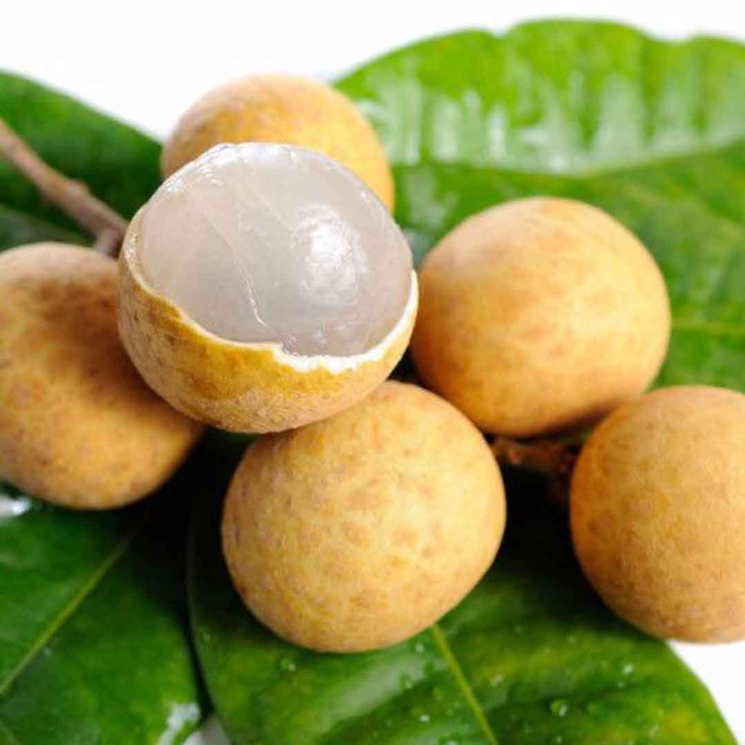 longan_edaw.jpg