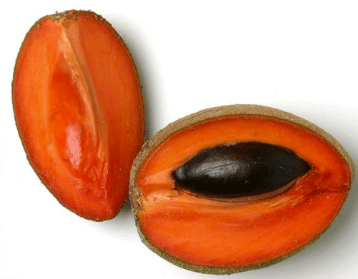 mamey1.gif