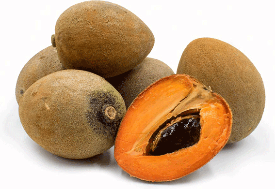 mamey3.gif