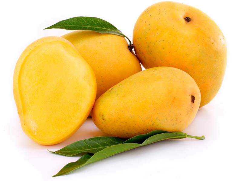 mango.jpg