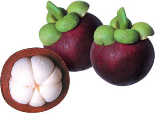 mangosteen1.jpg