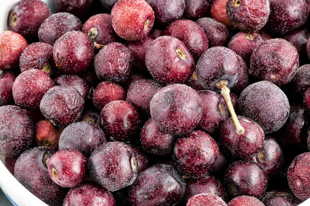 phalsa04.jpg