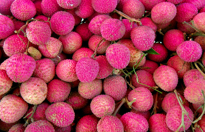 pink_longan1.jpg