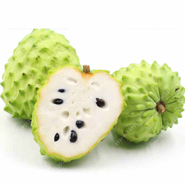 sweet_soursop.jpg