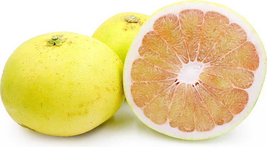 variegated_pomelo.jpg