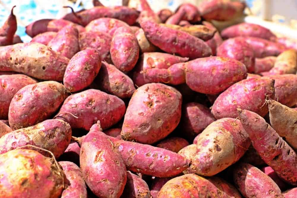 red-jewel-sweet-potatoes.jpg