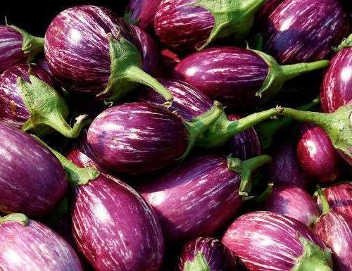 brinjal3.jpg